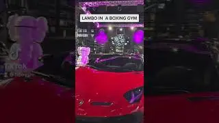 SVJ Lamborghini Aventador in Miami&rsquo;s Best Boxing Gym @BOXRGYM