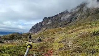 Alaska Dall Sheep Hunt 2020