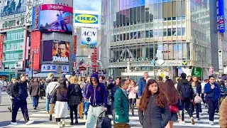 4K HDR Shibuya Tokyo walking tour. Winter view. Tokyo, Japan. 