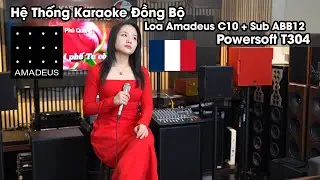 Hệ Thống Karaoke Đồng Bộ Loa Amadeus C10 Và C6 + Subwoofer ABB 12 Phối Ghép Power Powersoft T304