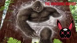 Is Bigfoot From Another Dimension?