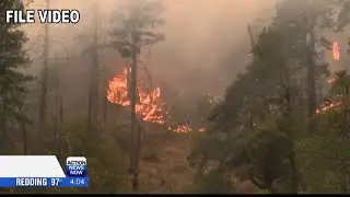 Dixie Fire: Governor Newsom denies tax exemption