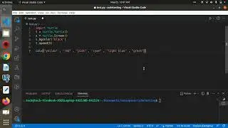 Draw Colorful Flower With Turtle Graphics : Drawing a Flower With python turtle