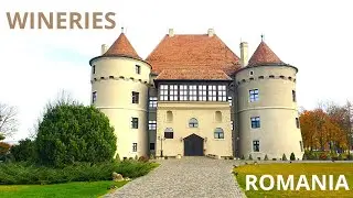 Romanian wineries: Jidvei and Cotnari (Activate the subtitles)