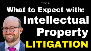 What to expect if you end up in court (over IP)