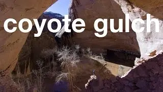 Coyote Gulch: Arches to the Max