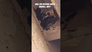 Water damage visible inside wall? #diy #construction #shortsvideo #homeinspections #bryckguibor