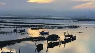 Ribeira das Teixugueiras   Pardilh&oacute;
