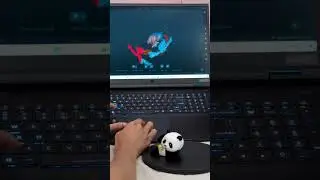 Scan the panda doll