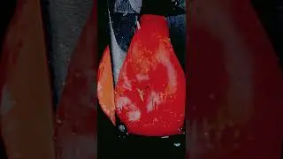Fruit cutting close-up #macro #fruit #zoom #shorts #ytshorts