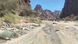 Wadi Disa (Saudi Arabia) (video #4)
