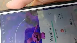 SHINY WYNAUT FROM 2 K EGG (Pokemon Go)