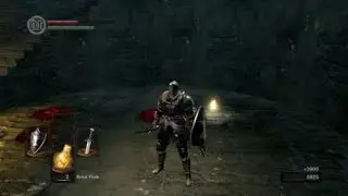 [DSR]Havel the Rock cheese kill