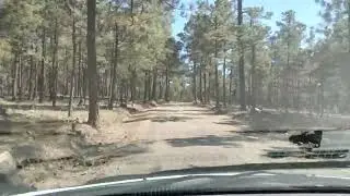Subiendo de Huapoca a CD. Madera dando una vuelta por chihuahua 
