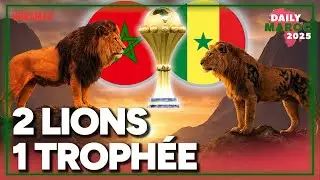 Le Maroc est en finale, duel de LIONS pour le trophée ! (Daily Maroc (16/01)