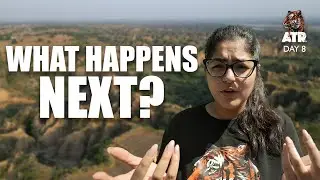 Does this PLACE have a Future? | Dholpur-Karauli Tiger Reserve | Project All Tiger Reserves| Day 08
