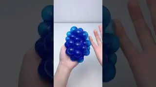 FUFUSQUISHY ASMR🐤🐤Blue Chick