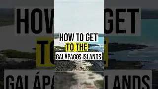 Gal&aacute;pagos Islands Bound: Quick Guide to Getting There!