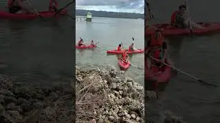 Kayaking in Bohol #philippines #travel #boholphilippines #bohol