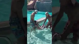 Hoodoo Moab Pool Accessibility Ramp: Not So Accessible (Exiting)
