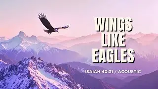Wings Like Eagles (Acoustic) | Isaiah 40:31 Scripture Song for Waiting on God