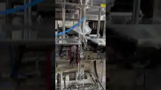 collar type cup filler machine #machine #packingmachine #pouchpackingmachine  #factoryproducts