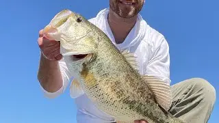 HUGE BASS 10 Inch POWERWORM!! BERKLEY