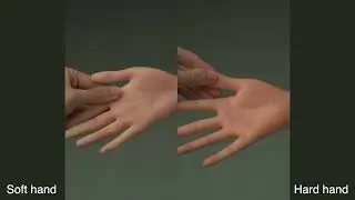 Zelex - Soft Hand vs. Hard Hand