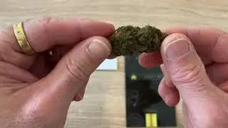 Cheese CBD - Yummyweed