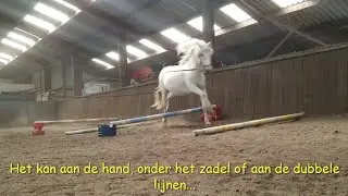 Aan de slag met balkjes 2.0. met Versatility Horsemanship