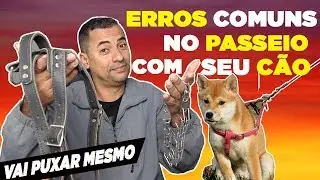 SEU CÃO ARRASTA NOS PASSEIOS l VEJA ISSO