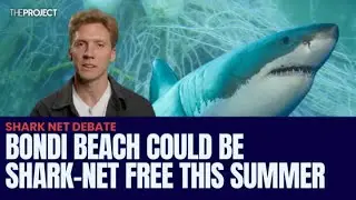 Bondi Beach Could Be Shark-Net Free This Summer