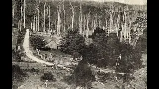A Tasmania Mystery, Yowie ( Bigfoot ) sighting at Gunns Plains in 1902