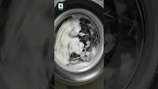 Washing White Bedsheets ASMR | Laundry Sounds of Electrolux #asmr #washingmachine #laundryasmr