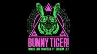 Illusionize & Dash Groove - Keep Down (Bunny Tiger Selection Vol. 5)