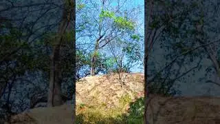 Color greding 😍