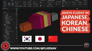 Japanese, Korean or Chinese Fluent Interface | Change ANSYS Fluent Language and its limitations