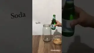 Okul &ouml;ncesi deney / dans eden mısırlar deneyi