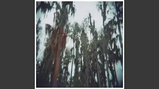 Rabbit in the Snare
