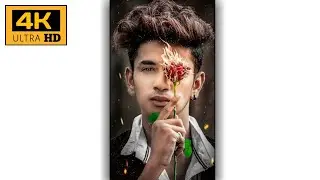 💓🥀Rose Day 4k Whatsapp Status🌹🧡Rose Day FullScreen Status🍁❤