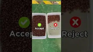 Jiacui Coffee bean color sorter SX39 sorting machine high performance mini size #coffeeplant #coffee