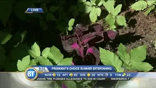 Frank live at President's Choice Summer Entertaining Backyard (4 of 4)