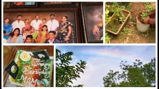 Daily vlog ❤️- Amma mane | gardening | birthday celebration| rainbow