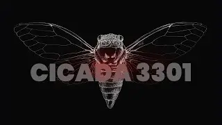 Cicada 3301 Explained | Internet's Darkest Mystery | Crime Discussion