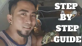 Paano Ko Nililinis ang Turtle Pond at Canister Filter Nito | Katropapets