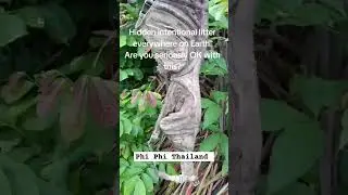 Hidden litter everywhere on earth!