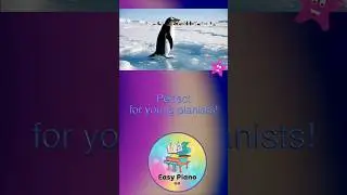 🐧❄️Little Penguin (Piano for Beginners) #piano #easypiano #shortspiano #pianoteacher #sheetmusic