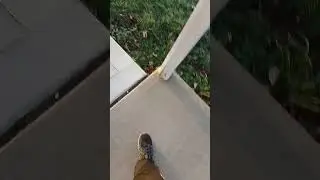 frost&asymp;yippe