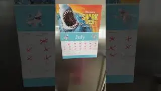 🚨 WAKE UP! 🚨Today is the day of the year 🦈 SHARK WEEK IS HERE🎉@discovery #sharkweek #hungryshark