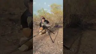 Infinity Target 100 Round Test